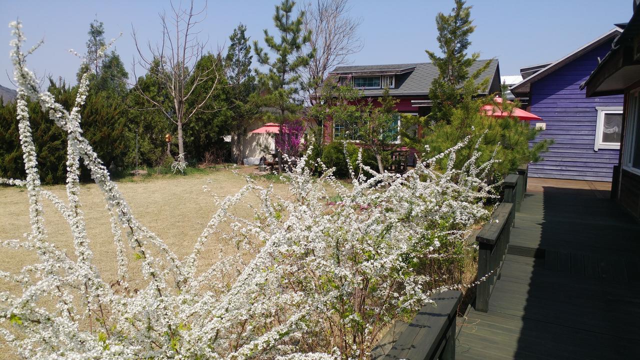 Windflower Villa Gyeongju Eksteriør bilde